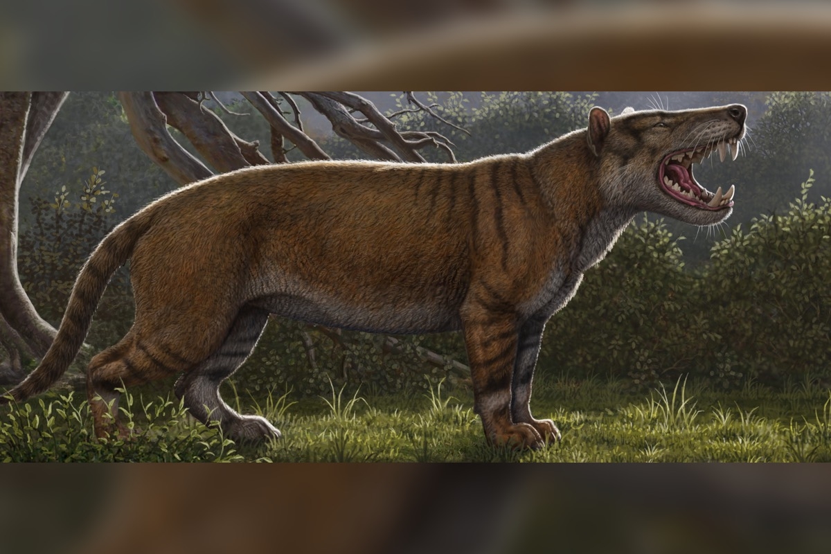 This Ancient Warg Was Scarier Than A Tolkien Beast Terrorized Kenya 22 Million Years Ago Live Science