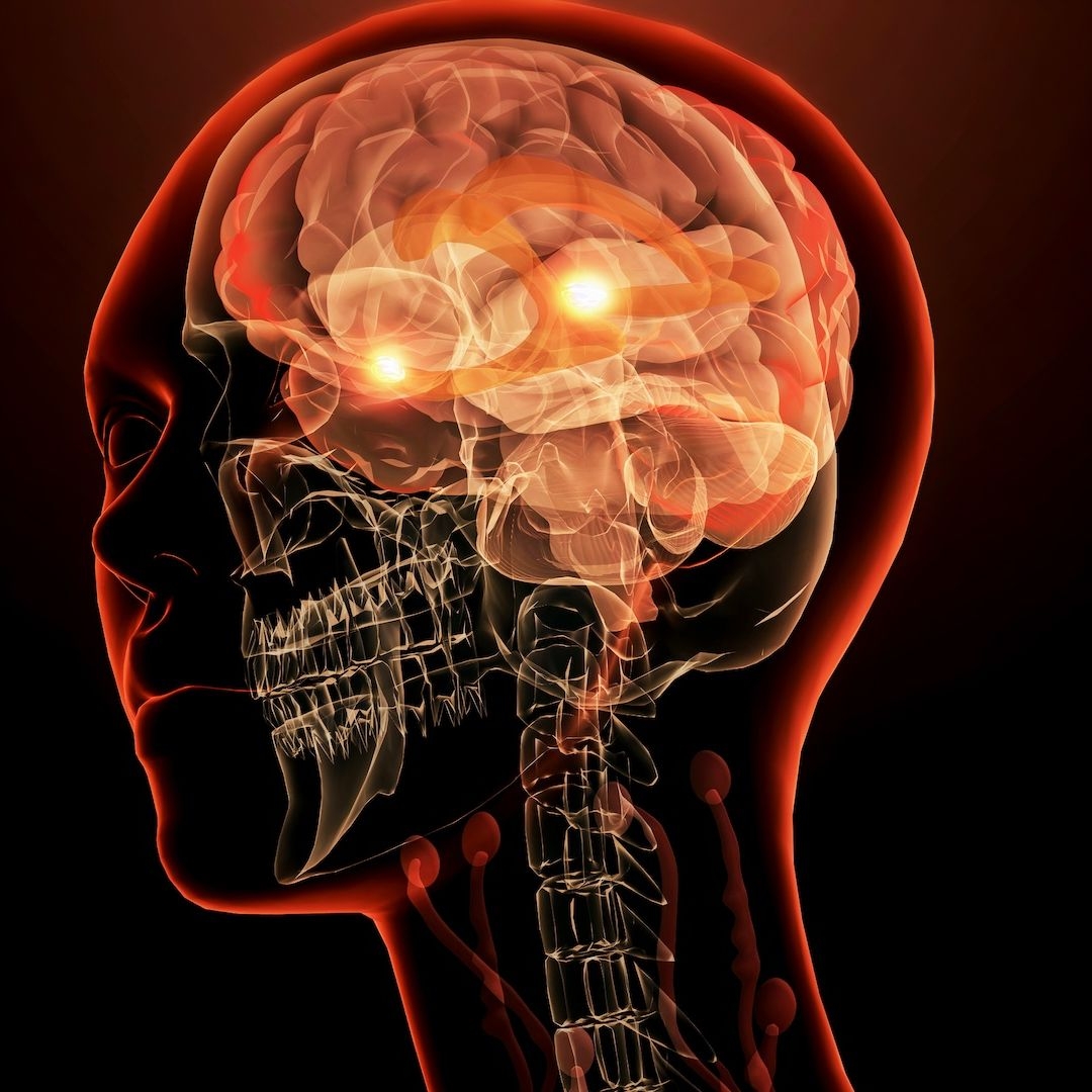brain signal transmitter crossword