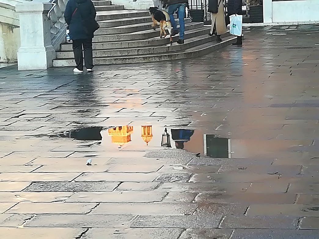 Towering Venice Venice I Am Not Making This Up