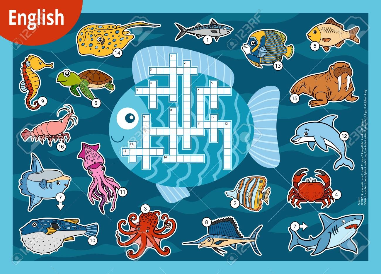 Vector Colorful Crossword In English Education Game For Children Cartoon Set Of Sea Animals Royalty Free SVG Cliparts Vectors And Stock Illustration Image 139188997 