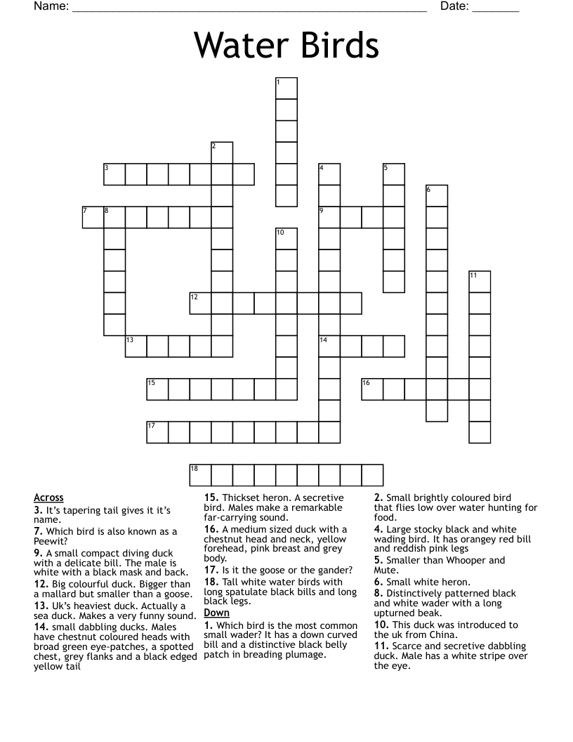 Diving Bird Crossword