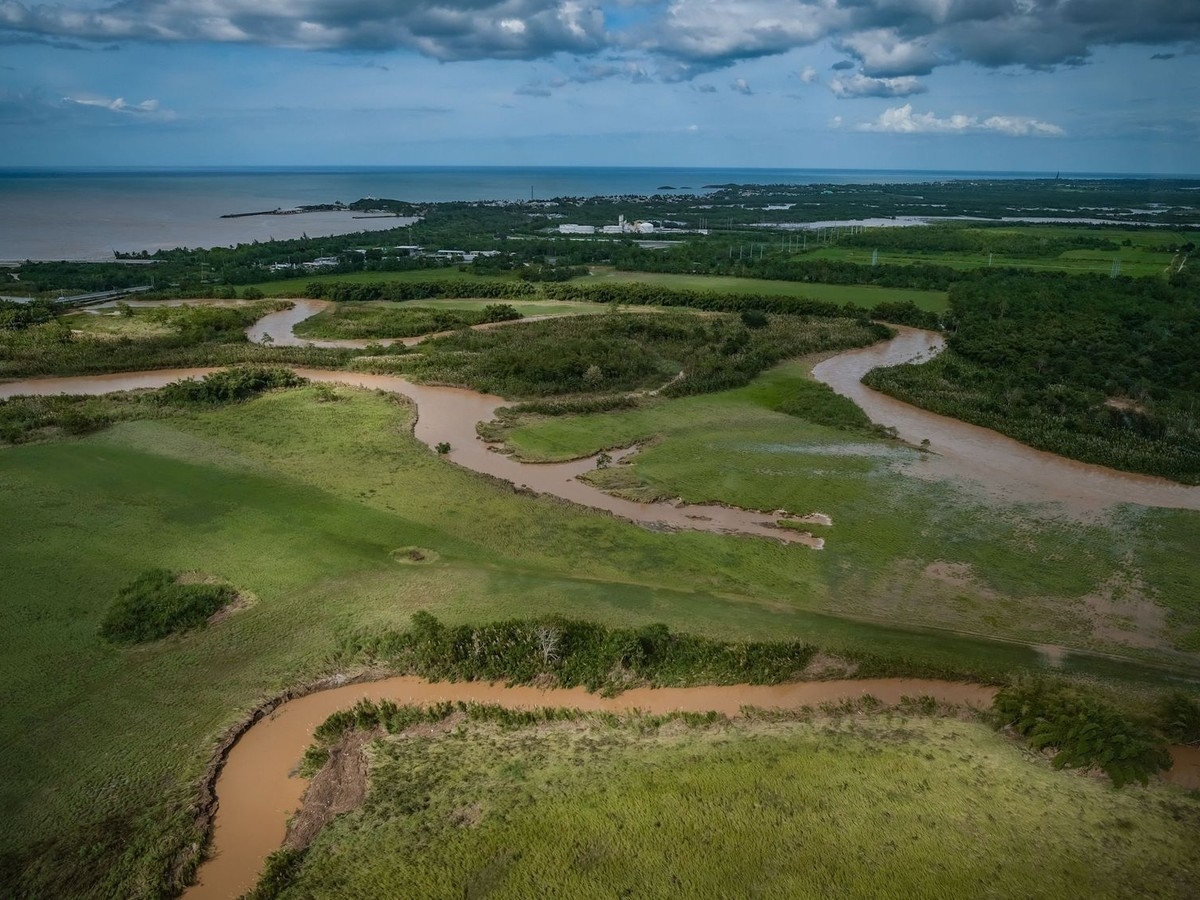 nature photography perhaps crossword clue