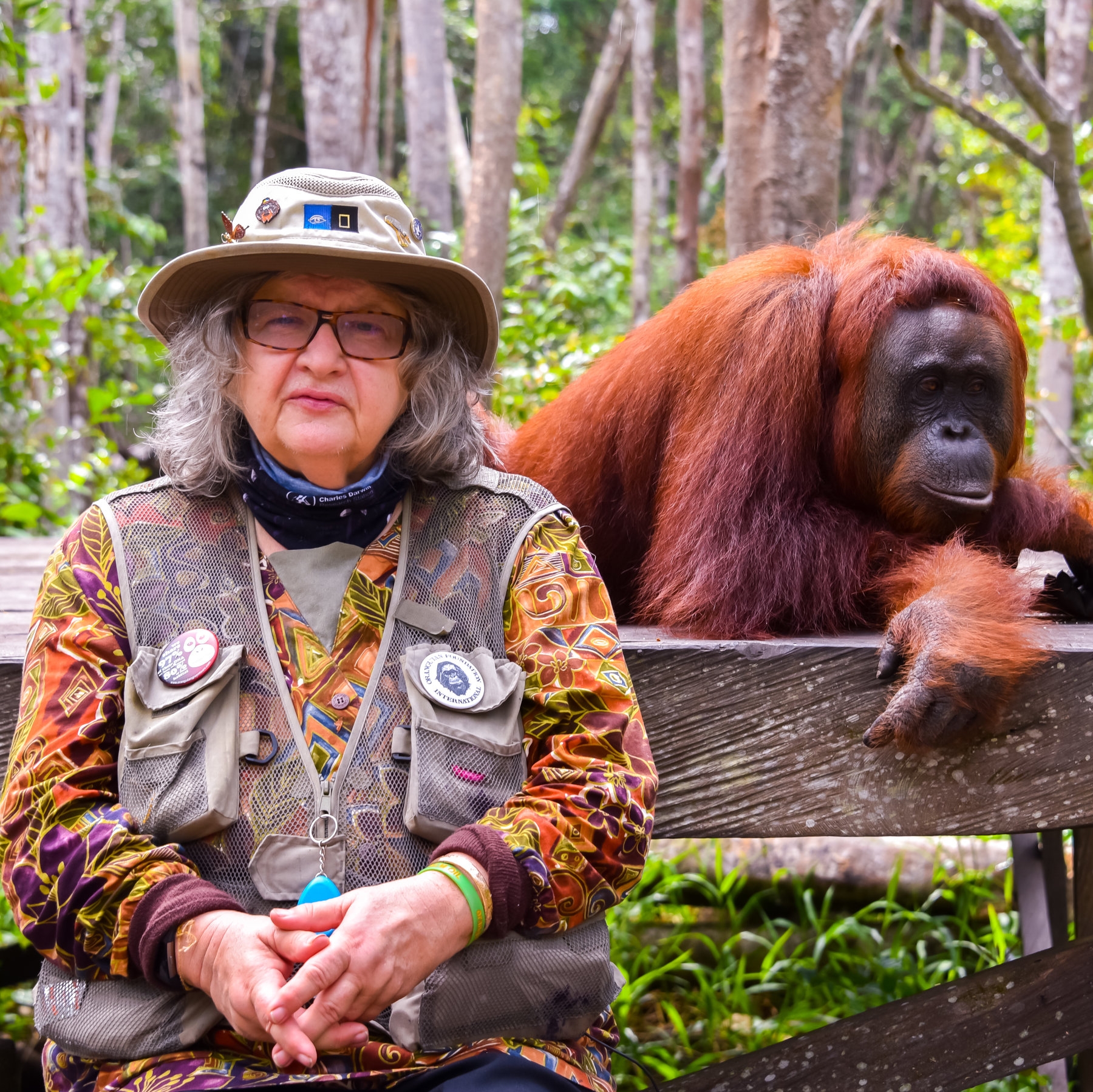 What s On TV Wednesday She Walks With Apes And Fauda The New York Times