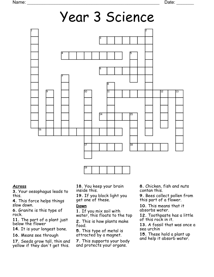 Year 3 Science Crossword WordMint